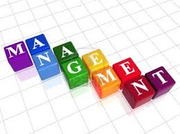 Read more about the article Building Your Management Muscle